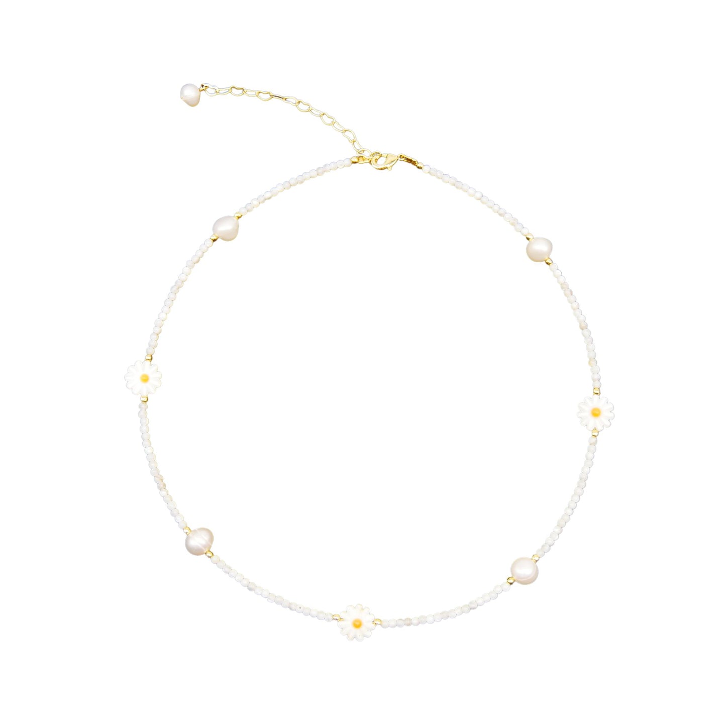 Sweet Chamomile