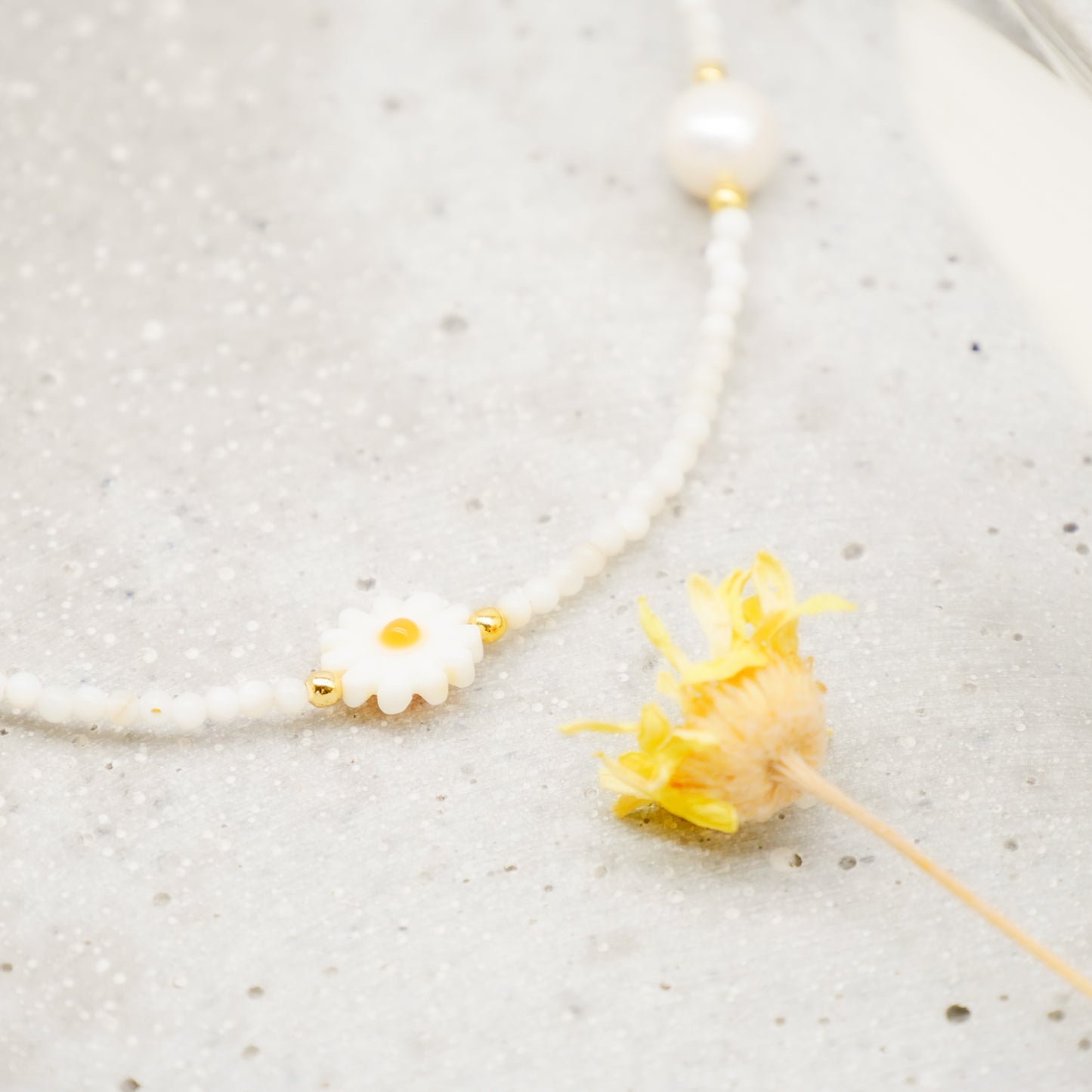 Sweet Chamomile